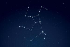 Hercules Constellation with Star Names in Night Sky vector