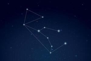 Lupus Constellation with Star Names in Night Sky vector