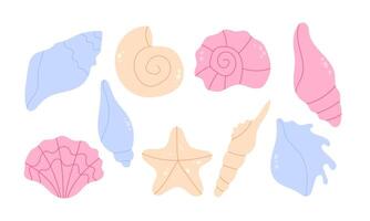 Collection of hand drawn sea shells on a white background vector