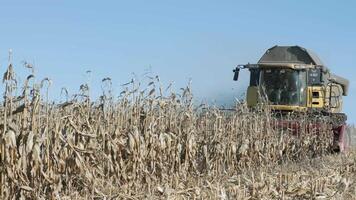 Harvesting of corn field with combine in early autumn. Folding Corn Header. video