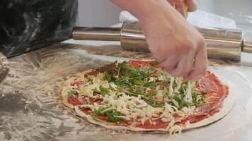The chef makes the pizza and sprinkle it with cheese 2 video