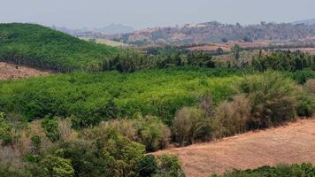 uma cênico zangão tiro exibindo a contraste entre verde florestas e cultivado terra, exibindo a harmonia entre natureza e agricultura. video