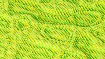 3d rendering abstract art animation with abstract moving shape in green color video