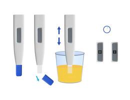 Digital pregnancy test showing instructions for urine analysis vector
