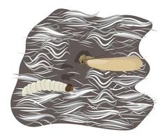 Clothes moth and larva eating wool, damaging textile fibers vector