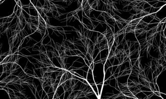 Abstract white roots pattern decorative black background. Line art tree. artistic vintage art. vector