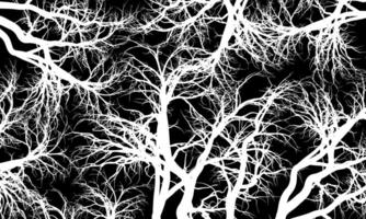 Abstract white roots pattern decorative black background. Line art tree. vintage decorative art. vector