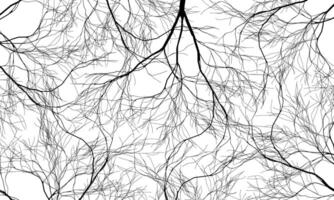 Abstract black roots pattern decorative white background. Line art tree. street nature art. vector