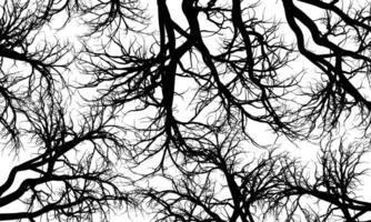Abstract black roots pattern decorative white background. Line art tree. retro monochrome art. vector