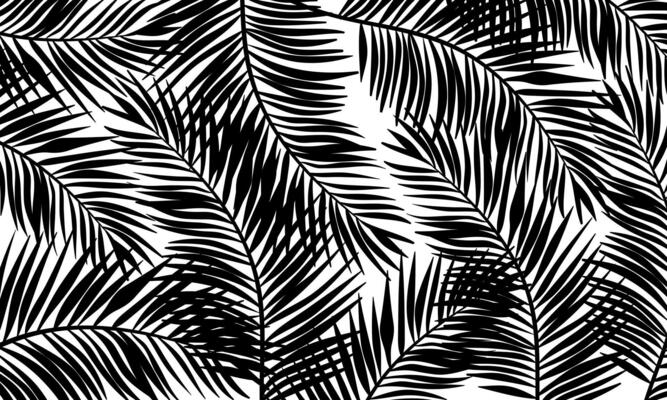 Tropical black palm leaves pattern white background. vintage nature decoration.