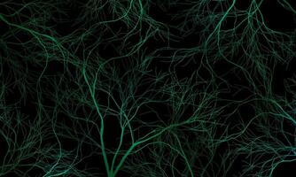 Abstract green roots pattern decorative black background. Line art tree. trendy tree textured. vector