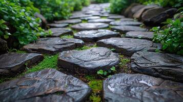 A wet stone pathway meanders through a lush garden, lined with moss and greenery. photo
