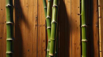 bamboo wood surface with visible nodes, illuminated by diffused afternoon light. Show the delicate interplay of light and shadow that highlights the fine texture and subtle color variations. photo