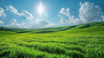 Lush green field with rolling hills under a bright blue sky. photo