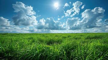 Expansive field of vibrant green grass under a bright, sunny sky with fluffy clouds. photo