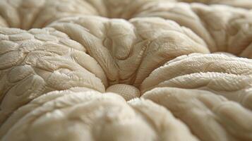 Close-up view of a textured, cream-colored fabric with embossed floral patterns, showing detail of the surface. photo