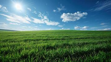 Expansive green field under a vibrant blue sky with fluffy clouds and a bright sun. Lush, fresh grass stretches across a vast landscape. Horizon line is distinct. photo