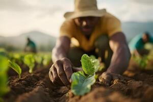 Farmers Working Together in a Collective Farm with Traditional Yet Resilient Atmosphere photo
