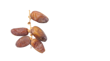 Golden Soft Dried Dates Fruit on Stalk for Ramadan Iftar Isolated on Transparent Background png