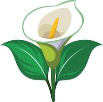 Stylized Calla Lily Flower with Green Leaves vector