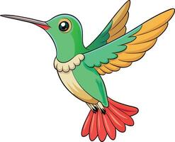 Cartoon Hummingbird Flying with Open Wings vector