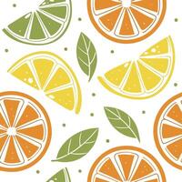 Citrus fruit pattern background illustration vector