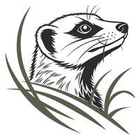 Meerkat peering from grass illustration. vector