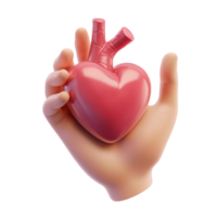 3D Render of a Hand Gently Holding a Realistic Anatomical Heart png