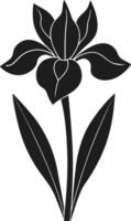 Iris Flower Silhouette - Elegant Botanical for Spring and Nature Themes vector
