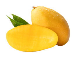 Ripe mango fruit and half with green leaves and water droplets in stack isolated with clipping path in file format png