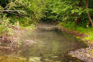 An atmospheric shot of a picturesque forest stream surrounded by dense greenery. photo