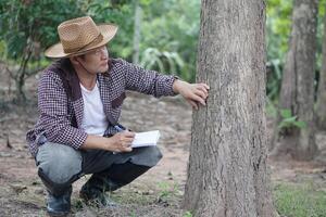 Asian botanist is inspecting trunk of tree in forest to analysis and research about growth of tree. Concept, forest valuation. Conservation of environment. Survey botanical plants. photo