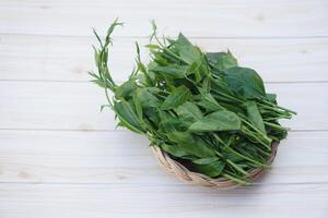 Fresh organic herbal Gurmar vegetable or Gymnema inodorum. Concept, Thai herbal vegetable, eaten as vegetables or cooking for helping lower blood sugar levels. photo