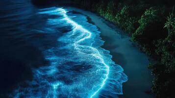 An aerial view of a tropical beach at night, where bioluminescent waves glow softly against the dark water, framed by lush greenery and a starry sky. photo