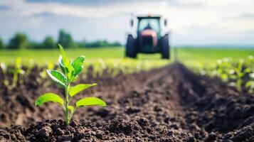 Tractor working on a farm with young plant in foreground and lush fields in background photo