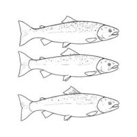 A group of salmon shapes depicted in a minimalist line art style. Hand-drawn fish illustrations. vector
