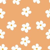 White Jasmine flower pattern background vector