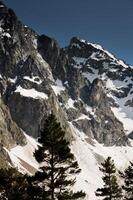 Close up of mountain range in snow under sunlight with pine trees in foreground, detailed photo of mountains