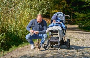 dad squats next to a baby in a stroller, feeding a duck in a park near the forest on a sunny spring day photo