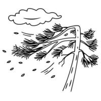 Windblown pine tree with swirling leaves and cloud in strong gusts, weather forces nature vector