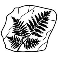 Fossilized fern imprint on cracked stone ancient plant, leaf pattern, geology, nature history artifact vector