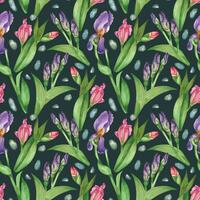 Seamless watercolor pattern. Spring flowers irises, iris buds, green leaves with dark veins. All objects are hand-drawn with watercolor. Suitable for printing on fabric, paper, for stationery vector