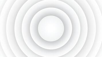 Abstract White concentric circles Wave Pattern Background vector