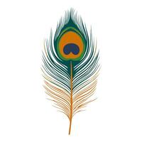 Peacock Feather Striking Colorful Design vector