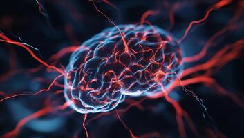 3D render of a brain with neural pathways. Detailed view of the intricate structure photo