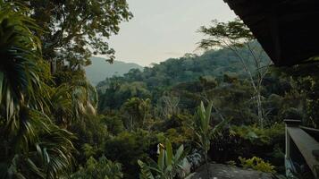 Lush jungle vista from a high point photo