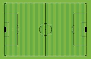 Soccer field markings with stadium grass texture. Football court lines and playground background. Flat illustration isolated on white background. vector