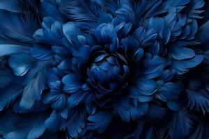 Deep blue feathers forming a flower-like pattern. Detailed close-up view of intricate texture photo