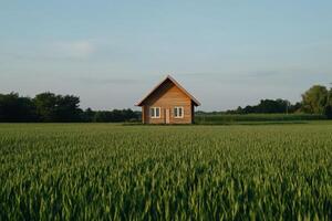 Simple wooden house in a vast field photo