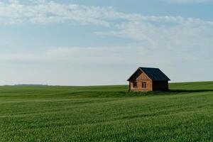 Rustic wooden home in a vast green field under a serene sky photo